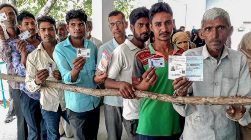 Voter Voter