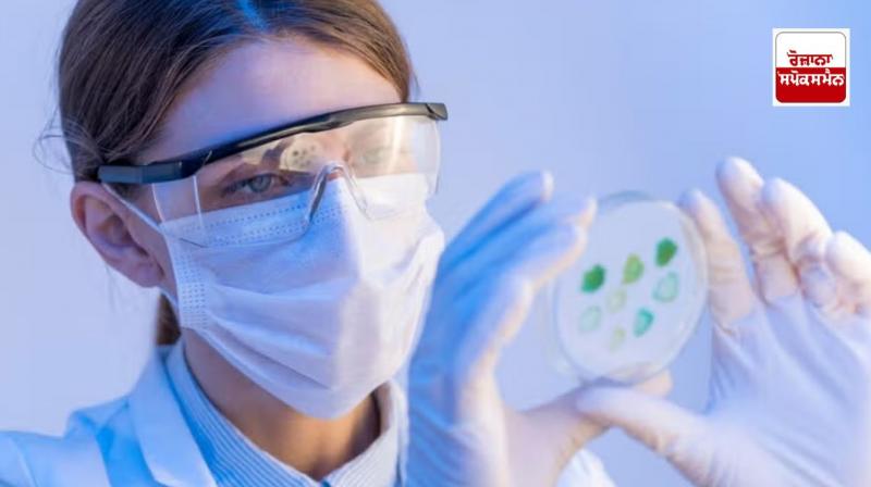 HMPV virus spreading in China latest news in punjabi HMPV virus spreading in China latest news in punjabi