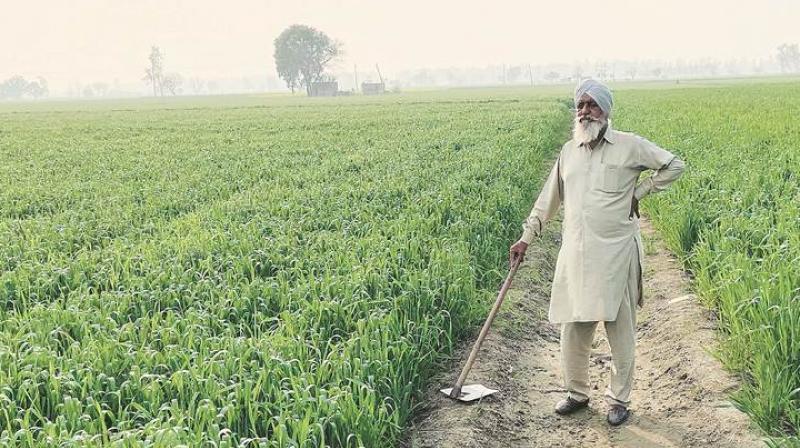 pm kisan yojana pm kisan yojana