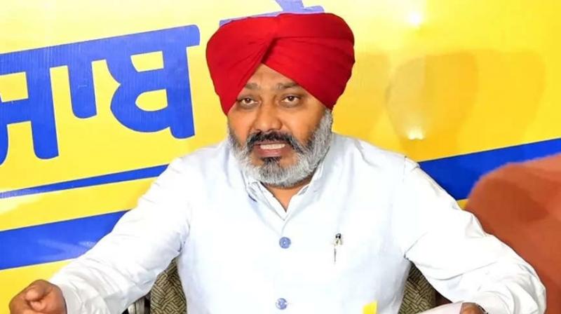 Harpal Cheema Harpal Cheema
