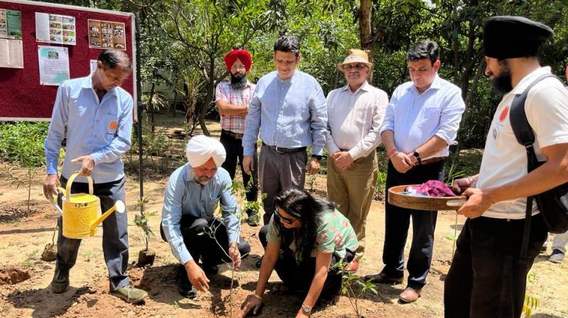 Sri Guru Gobind Singh College celebrated World Environment Day 2023 Sri Guru Gobind Singh College celebrated World Environment Day 2023