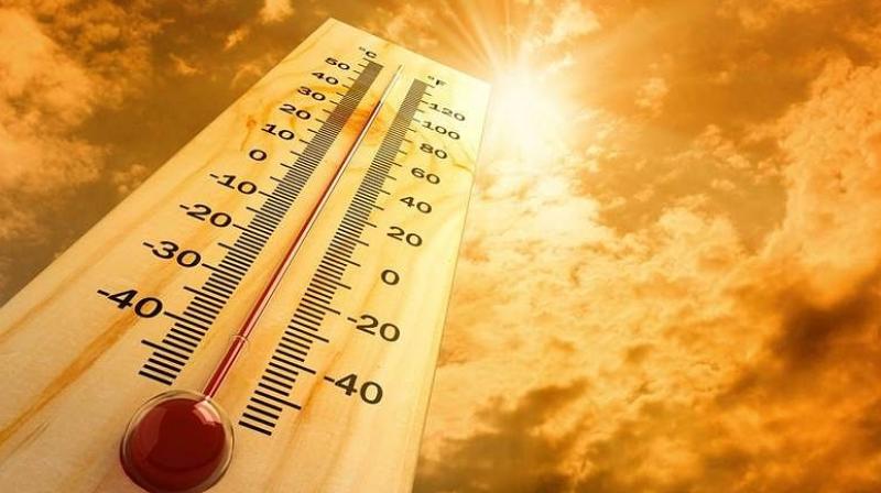 Summer Temprature Summer Temprature