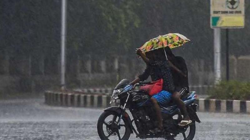 Rain In Punjab 