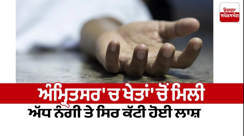 A half-naked and decapitated body was found in the fields in Amritsar news in punjabi 