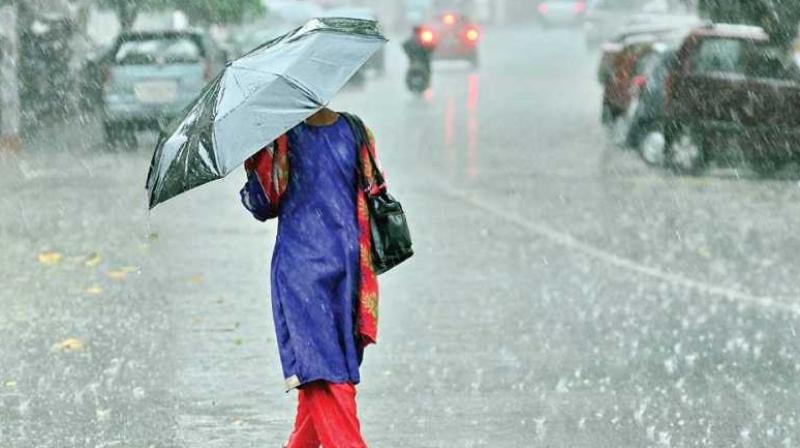 Rain Rain