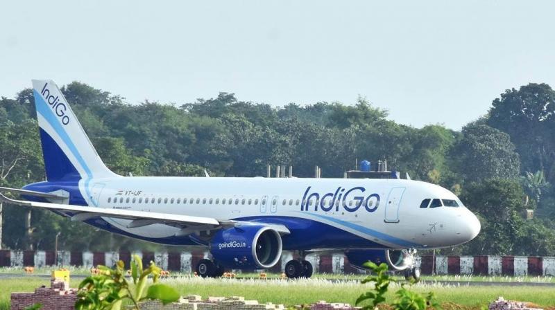 IndiGo IndiGo