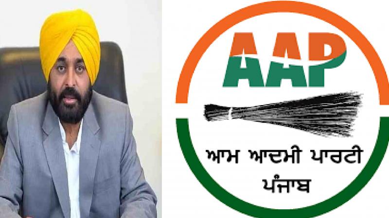 AAP AAP