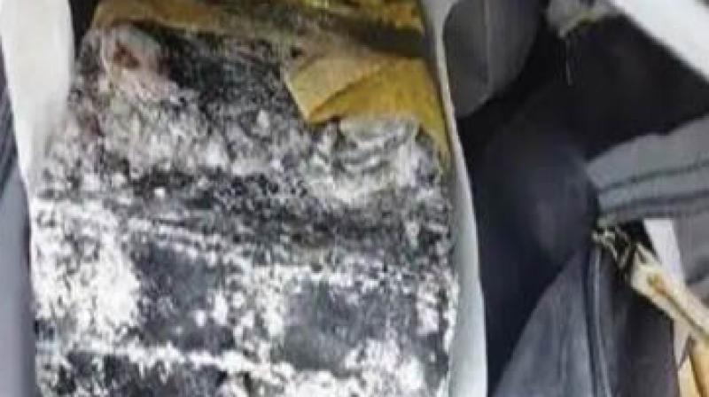 2 Kg RDX Explosives Recovered In Punjab's Dinanagar: 2 Kg RDX Explosives Recovered In Punjab's Dinanagar: