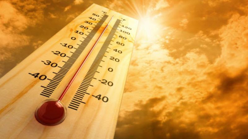 Summer Temperature Summer Temperature