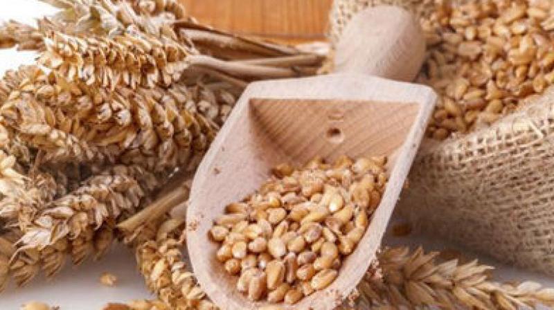 Grain Grain