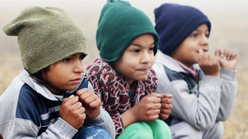 Punjab Cold Punjab Cold