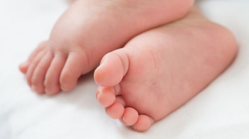 Baby Born Baby Born