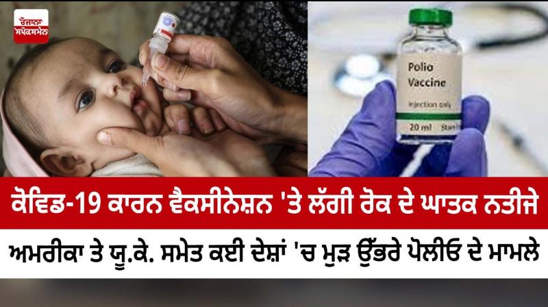 New polio cases found in nations due to pause in immunisation during Covid time: expert New polio cases found in nations due to pause in immunisation during Covid time: expert