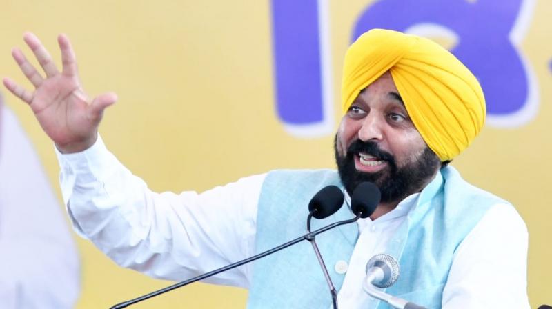 CM Bhagwant Mann News in punjabi