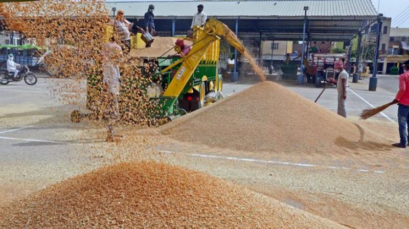 ਕਿਸਾਨਾਂ ਨੇ ਫ਼ੋਨ ਕਰ ਕੇ ਮੰਤਰੀ ਸੰਦੀਪ ਸਿੰਘ ਨੂੰ ਕਿਹਾ, ਨਹੀਂ ਸ਼ੁਰੂ ਹੋਈ ਕਣਕ ਦੀ ਖ਼ਰੀਦ ਕਿਸਾਨਾਂ ਨੇ ਫ਼ੋਨ ਕਰ ਕੇ ਮੰਤਰੀ ਸੰਦੀਪ ਸਿੰਘ ਨੂੰ ਕਿਹਾ, ਨਹੀਂ ਸ਼ੁਰੂ ਹੋਈ ਕਣਕ ਦੀ ਖ਼ਰੀਦ
