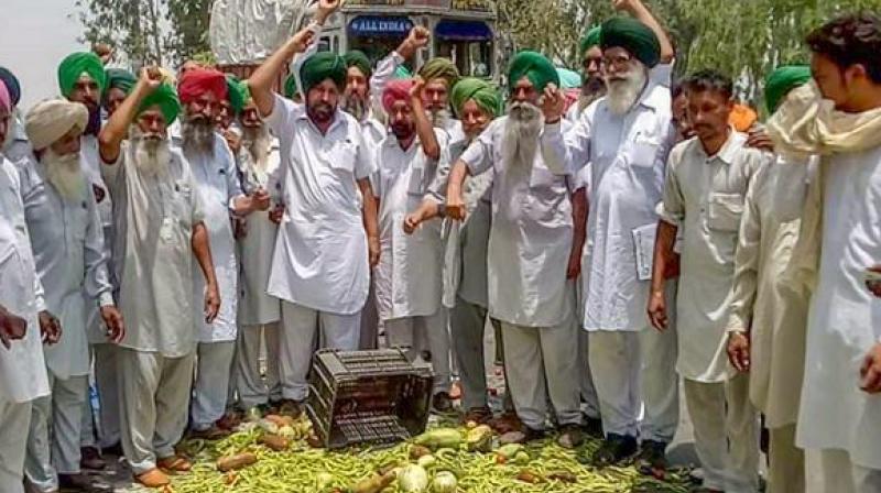 Farmer Leaders Farmer Leaders