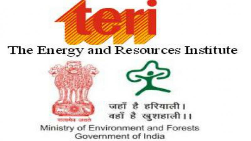 TERI TERI