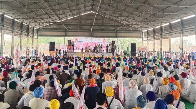 Farmers' Maharali begins in Ferozepur Farmers' Maharali begins in Ferozepur
