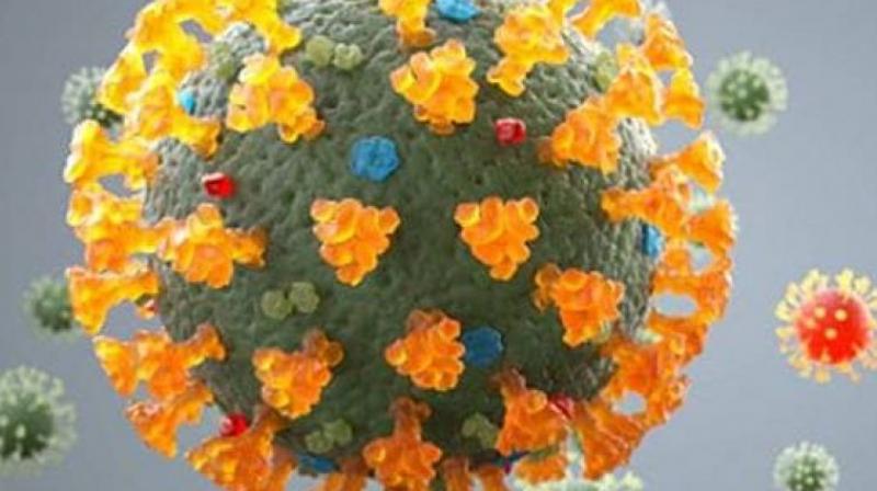Coronavirus Coronavirus