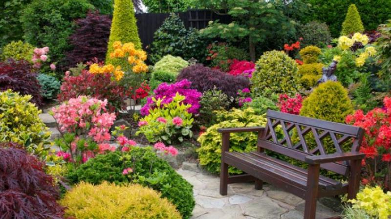 Garden Garden