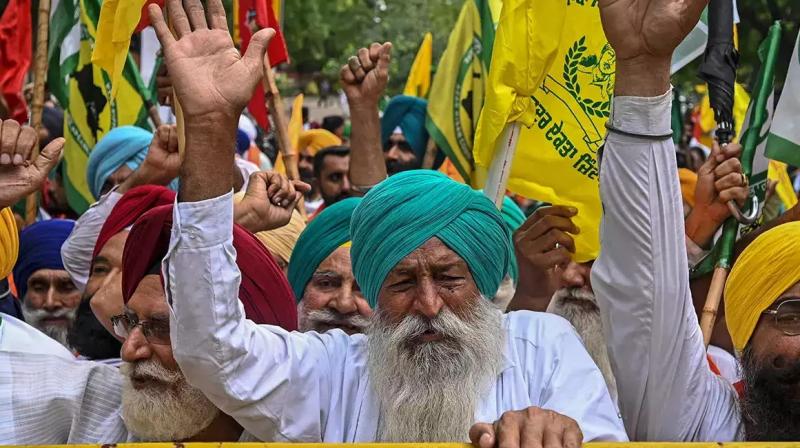 Farmer Protest (file photo) Farmer Protest (file photo)