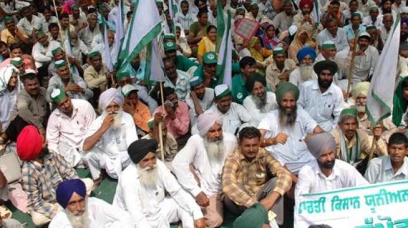 Farmers Protest Farmers Protest