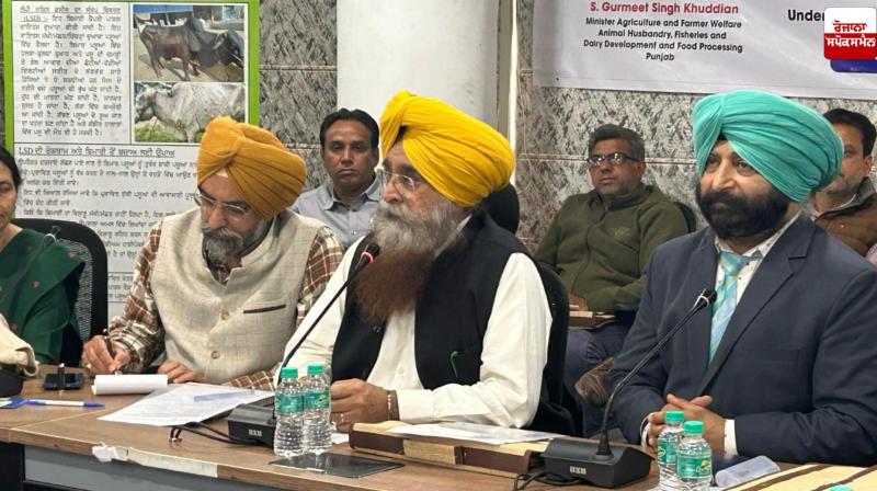 Punjab Government launches free tetanus vaccination campaign for horses, donkeys and mules Punjab Government launches free tetanus vaccination campaign for horses, donkeys and mules