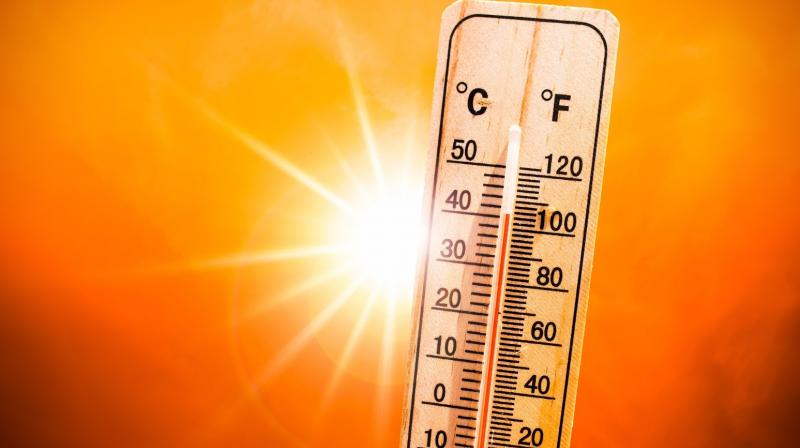 January 2025 hottest month on record: European Climate Agency January 2025 hottest month on record: European Climate Agency