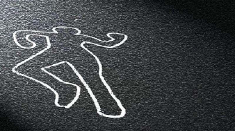 Street kill for urine on the road Street kill for urine on the road