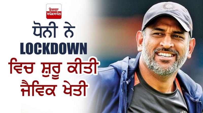 MS Dhoni MS Dhoni