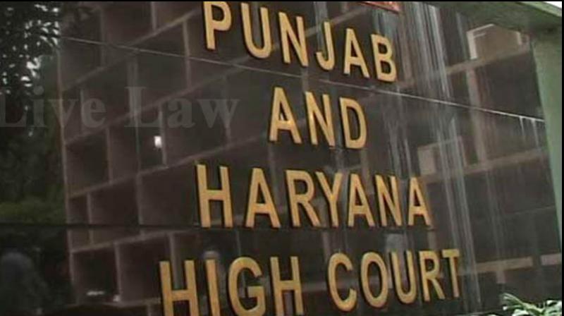 Punjab Haryana High Court