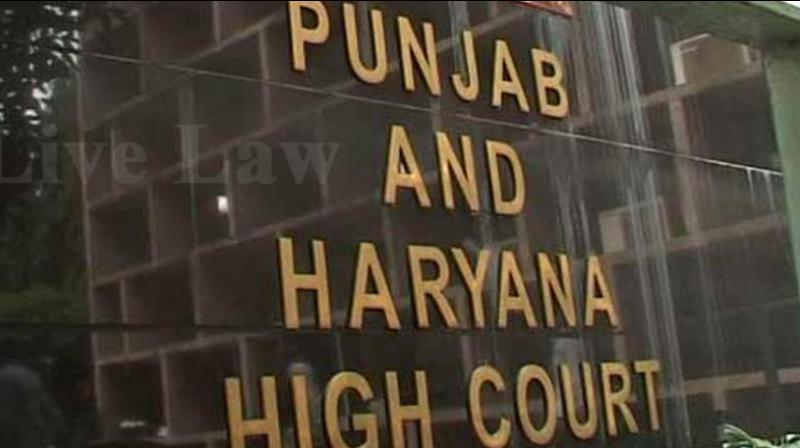 Punjab Haryana High Court