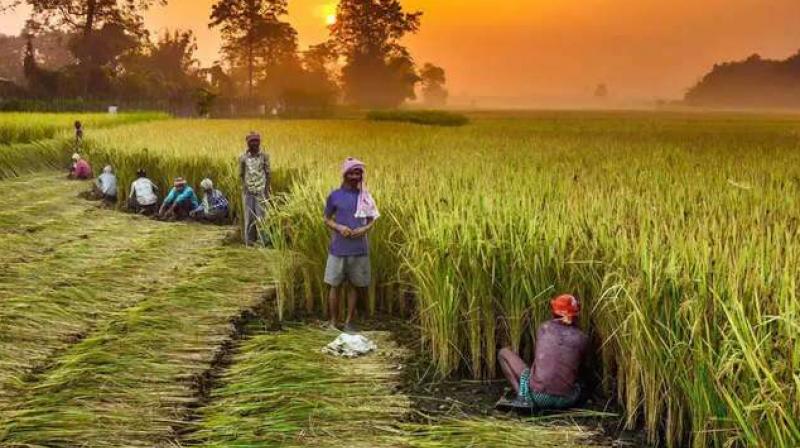 Great news for farmers Great news for farmers