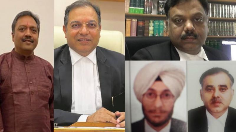 Punjab-Haryana High Court gets 5 new judges Punjab-Haryana High Court gets 5 new judges