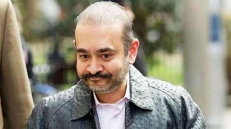 Nirav Modi