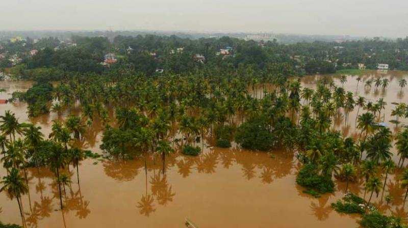 Kerala Flood 