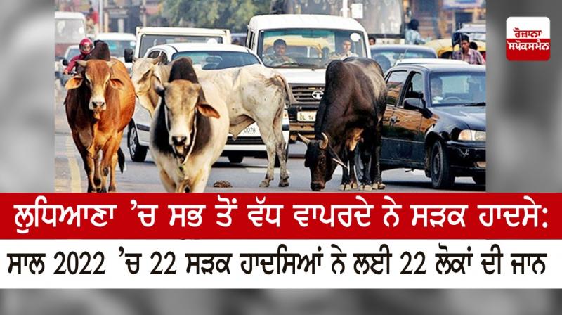 The most common road accidents in Ludhiana: In the year 2022 The most common road accidents in Ludhiana: In the year 2022