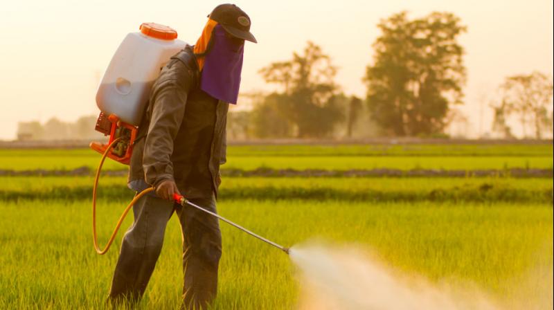 Pesticide Pesticide
