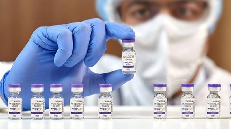 India to buy 10 million doses of Zydus Cadila's Covid-19 vaccine India to buy 10 million doses of Zydus Cadila's Covid-19 vaccine