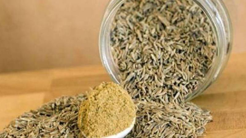 Cumin Seeds Cumin Seeds