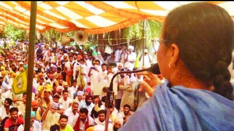 ਬਾਦਲਾਂ ਦੇ ਘਰ ਅੱਗੇ ਧਰਨੇ ਵਿਚ ਜੁੜੇ ਕਿਸਾਨਾਂ ਦਾ ਦ੍ਰਿਸ਼। ਬਾਦਲਾਂ ਦੇ ਘਰ ਅੱਗੇ ਧਰਨੇ ਵਿਚ ਜੁੜੇ ਕਿਸਾਨਾਂ ਦਾ ਦ੍ਰਿਸ਼।
