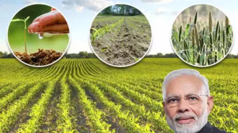 Modi Govt new step for farmers 