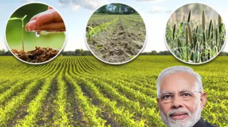 Modi Government's boost to farmers Modi Government's boost to farmers
