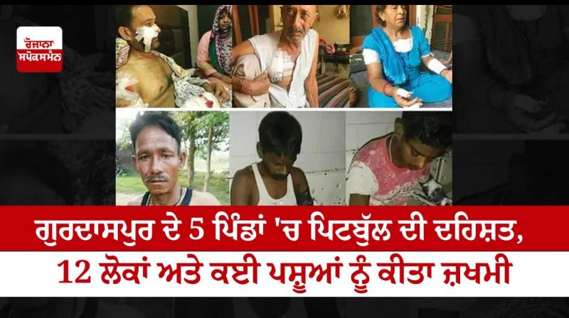 Pitbull terror in 5 villages of Gurdaspur