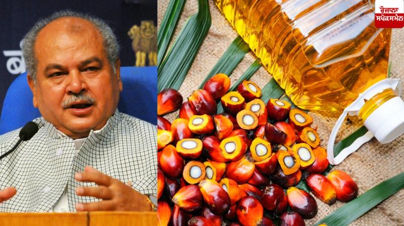 Centre approves Rs 11,040 crore for National Mission to boost palm oil production Centre approves Rs 11,040 crore for National Mission to boost palm oil production