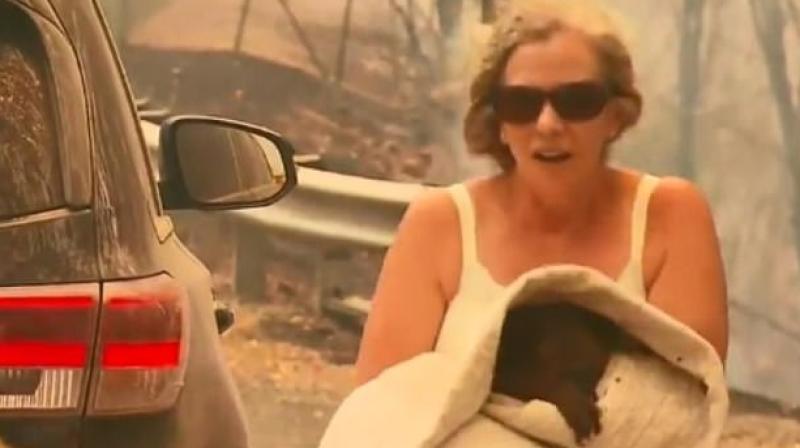 The woman saved the animal by removing her shirt The woman saved the animal by removing her shirt