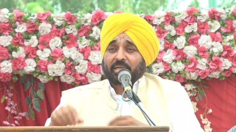 CM Bhagwant Singh Mann CM Bhagwant Singh Mann