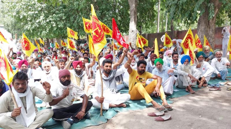 Kirti Kisan Union Launches Agriculture Model Change Movement Kirti Kisan Union Launches Agriculture Model Change Movement