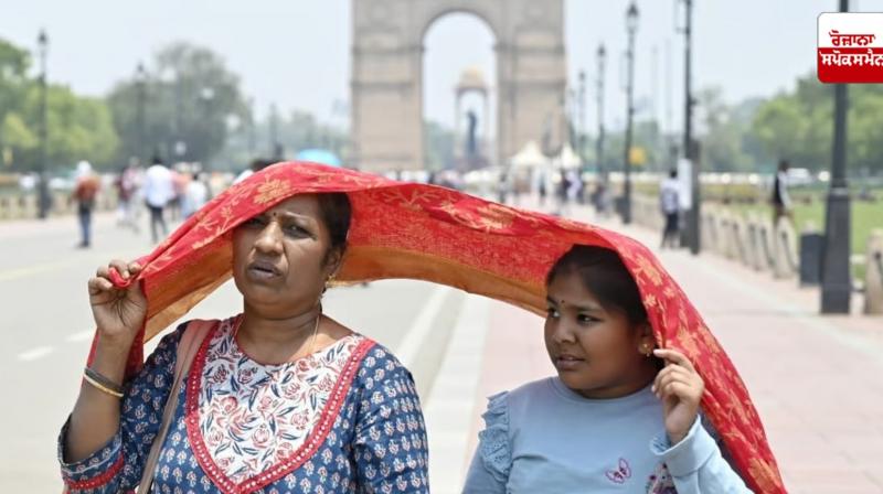 2024 India's hottest year since 1901: Meteorological Department 2024 India's hottest year since 1901: Meteorological Department