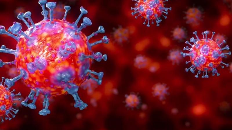 Corona Virus Corona Virus